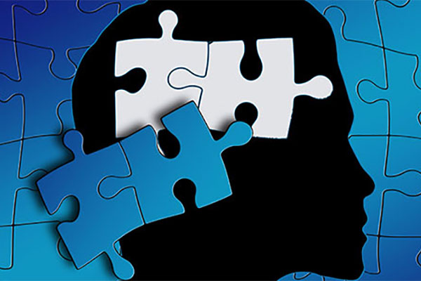 Head with Jigsaw