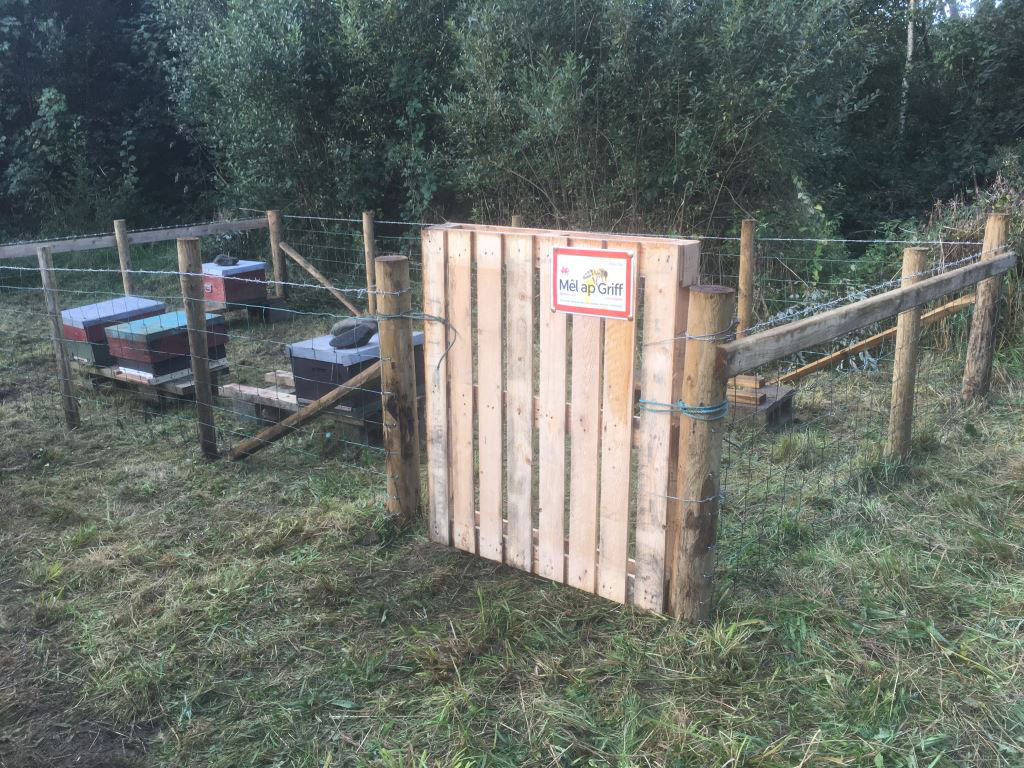 Apiary