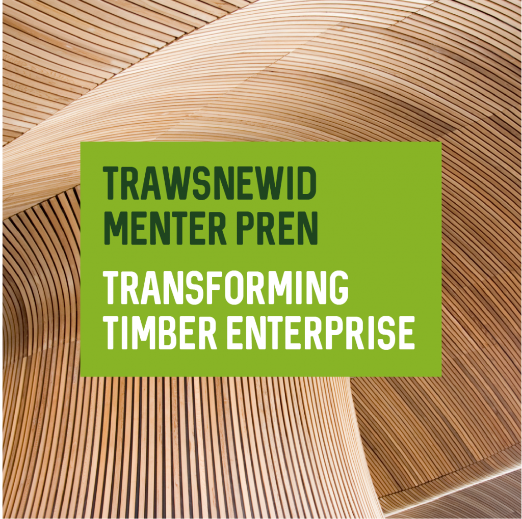 Trawsnewid Menter Pren