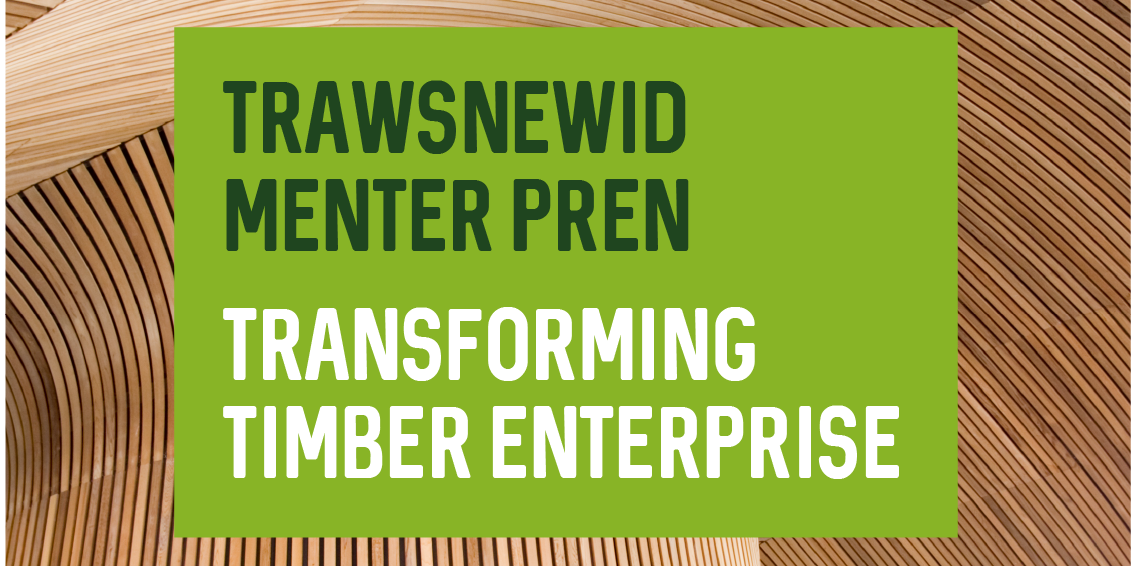 Trawsnewid Menter Pren